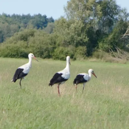 Z Klimatem Wakacyjny