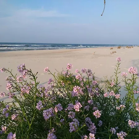 Casa vacanze Z Klimatem Wakacyjny *